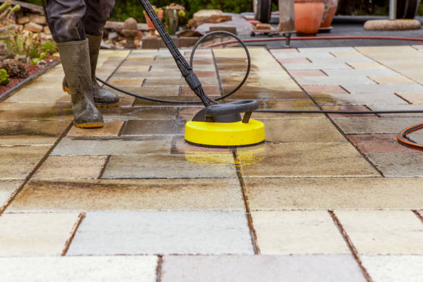 Best Sidewalk and Walkway Cleaning  in Pamplico, SC