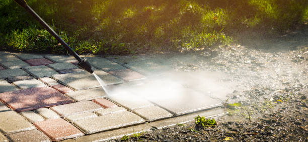 Best Driveway Pressure Washing  in Pamplico, SC